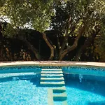 ヴィラ Garden Oasis Pool *