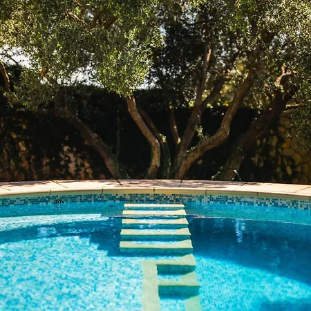 Villa Garden Oasis Pool *