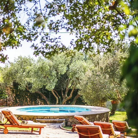 Villa Garden Oasis Pool *