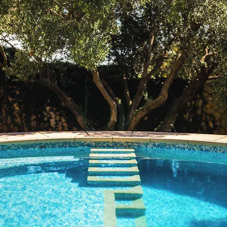 Garden Oasis Pool *